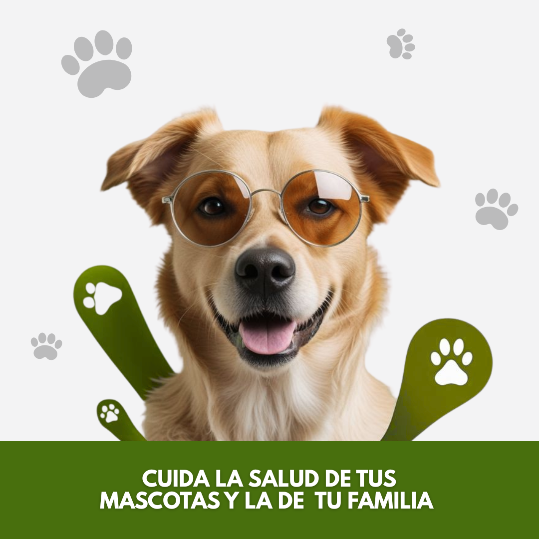 COLLAR ANTIPARASITOS PULGAS Y GARRAPATAS PARA MASCOTAS 🐾