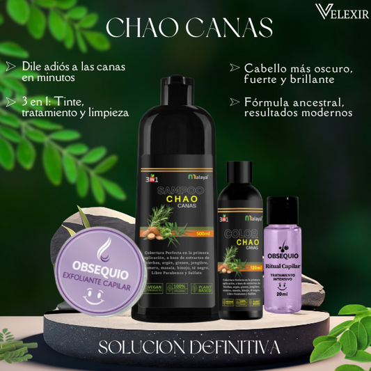 Shampoo Chao Canas + Triple Obsequio