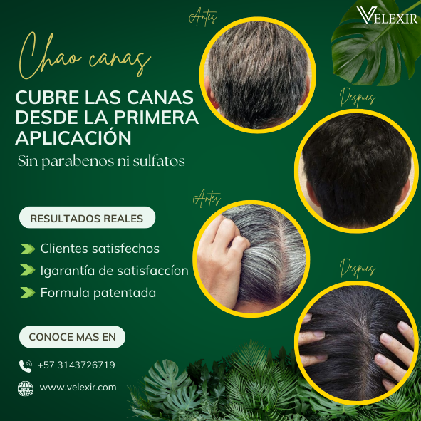 Shampoo Chao Canas + Triple Obsequio